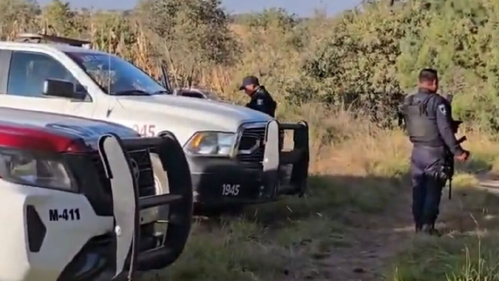 Multihomicidio en Puebla: Descubren siete cadáveres con signos de violencia en la frontera con Tlaxcala