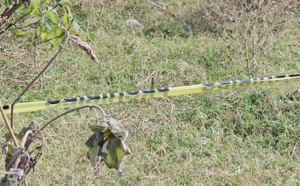 Descubrimiento de Restos Humanos en Fosa Clandestina en Tlajomulco: Un Llamado a la Conciencia