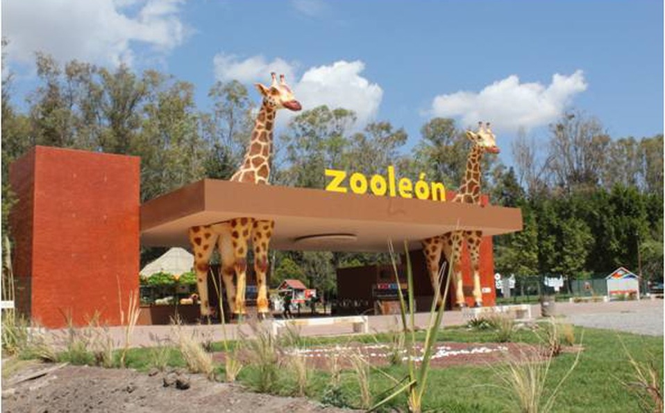 Zoológico de León Refuerza Seguridad con la Policía Municipal Tras Muerte de 24 Borregos
