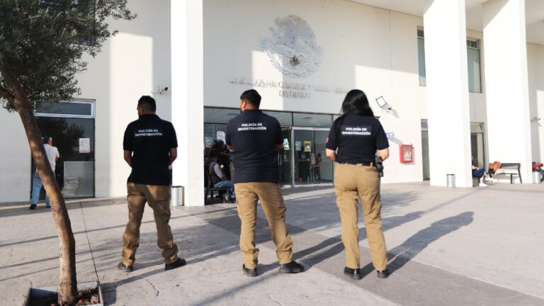 Feminicidio en Jalisco: Fiscalía Vincula a 77 Agresores de Mujeres en Solo 10 Días