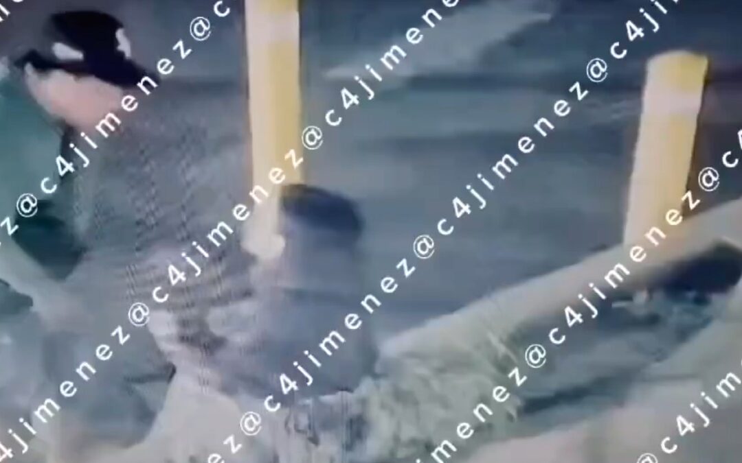 Agresión Doméstica en Stockton: Policía Federal Enfrentado por Joven Tras Atacar a Su Novia