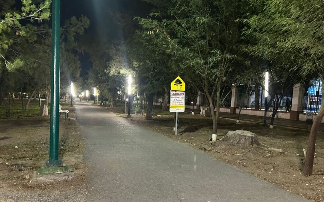 Inversión de Seis Millones Mejora el Bosque Venustiano Carranza en Stockton Modesto