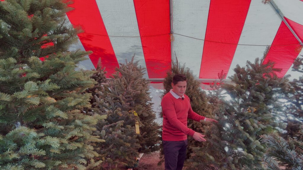 Los Precios Navideños Afectan a Familias en Stockton y Modesto: ¿Cómo Enfrentar el Aumento de Costos?