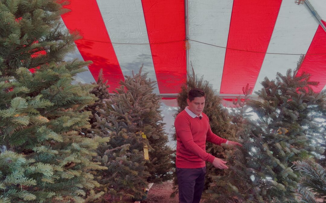 Los Precios Navideños Afectan a Familias en Stockton y Modesto: ¿Cómo Enfrentar el Aumento de Costos?