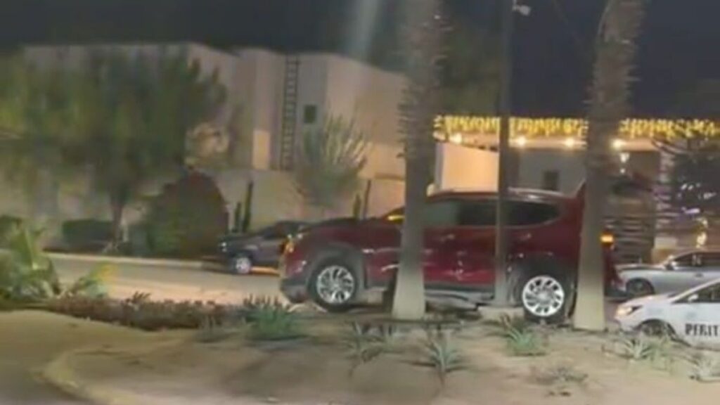 ¡Increíble! Conductor derriba palma al subirse al camellón en Viñedos