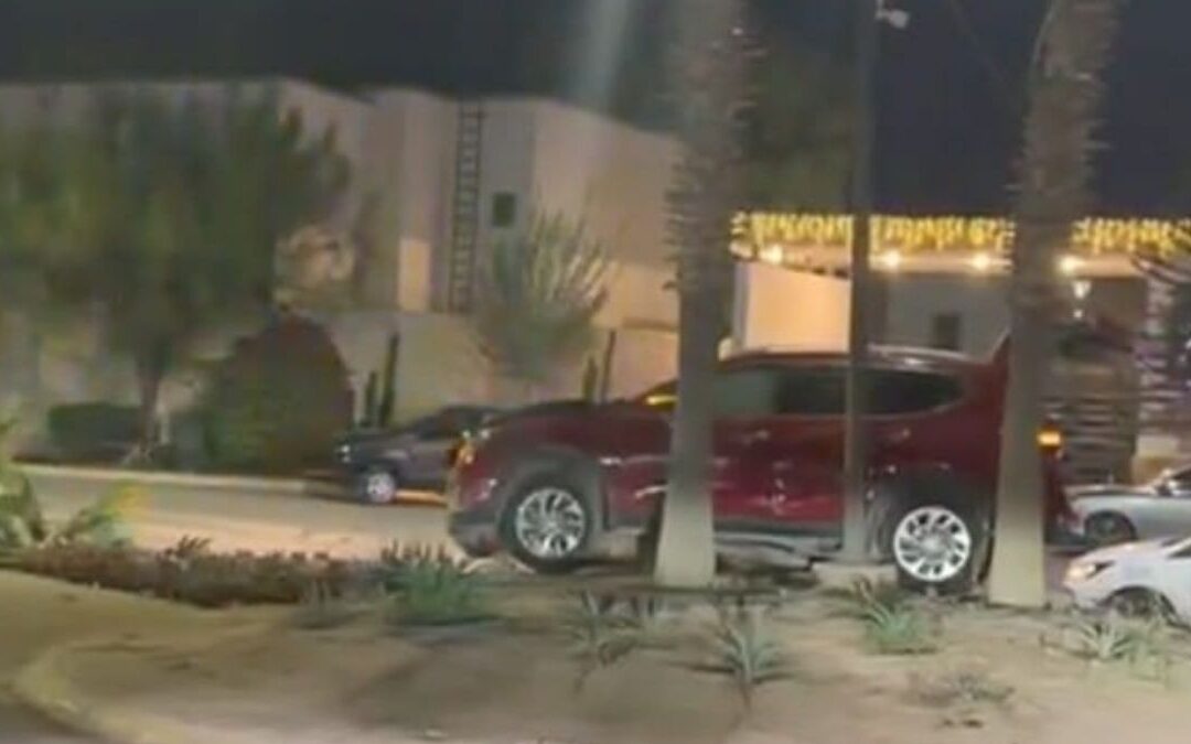 ¡Increíble! Conductor derriba palma al subirse al camellón en Viñedos