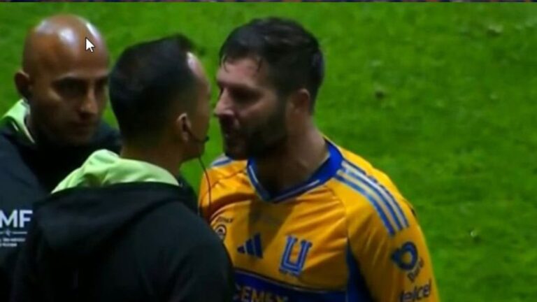 Gignac manda un fuerte reclamo a Luis Enrique Santander tras la Final de 2017 contra Toluca