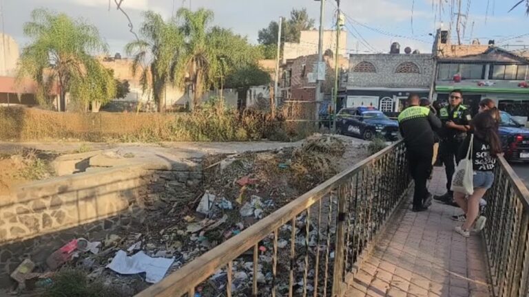 Cráneo y Restos Humanos Localizados por el Colectivo de Madres Buscadoras en Tonalá