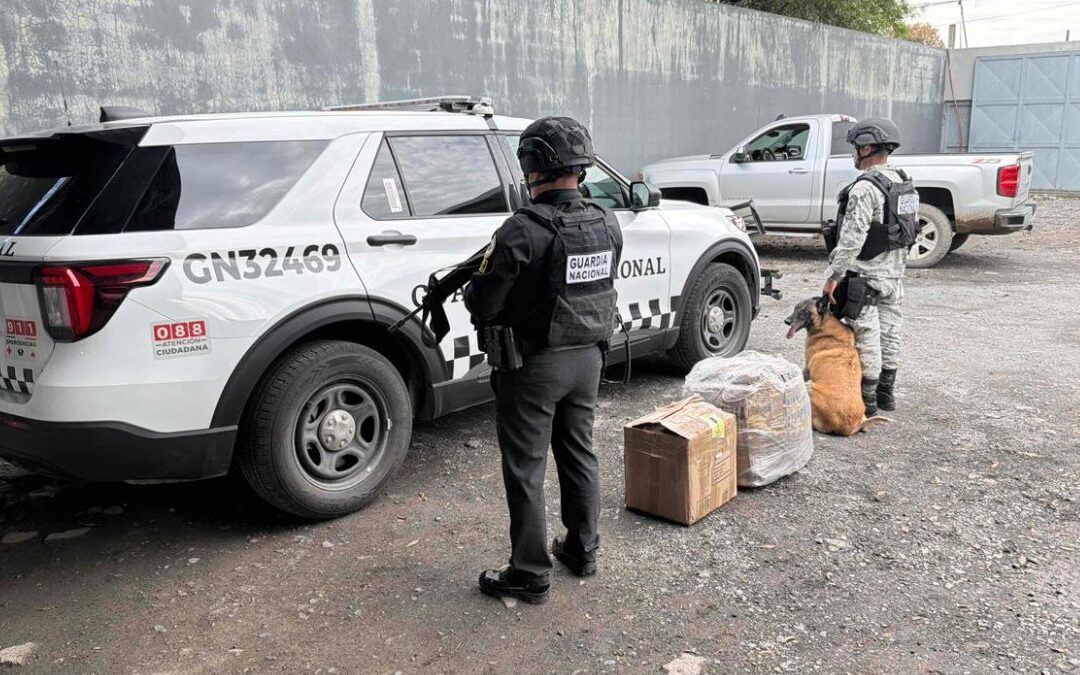 Sedena Decomisa 51 Kilos de Pirotecnia y 55,000 Litros de Diesel en Nuevo León