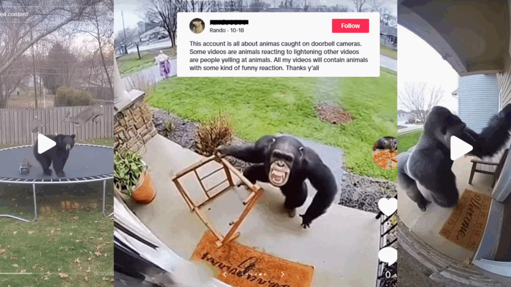 Zoológico del Condado de Sedgwick Advierte sobre Contenido Generado con Inteligencia Artificial en Redes Sociales