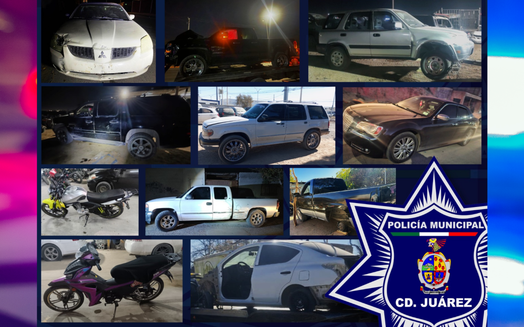 Recuperación de Vehículos Robados: Policía de Ciudad Juárez Asegura 11 Autos en Operativo Especial