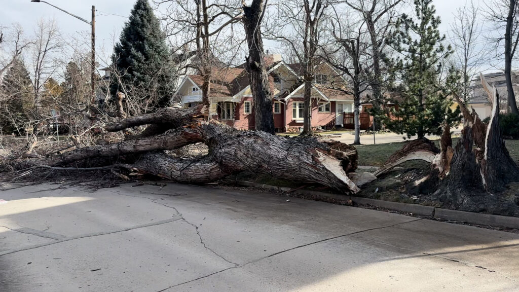 Vientos Fuertes en Colorado: Precauciones y Riesgos a Tener en Cuenta