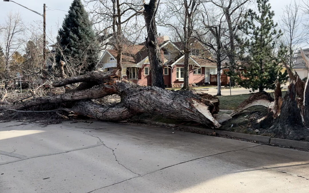Vientos Fuertes en Colorado: Precauciones y Riesgos a Tener en Cuenta