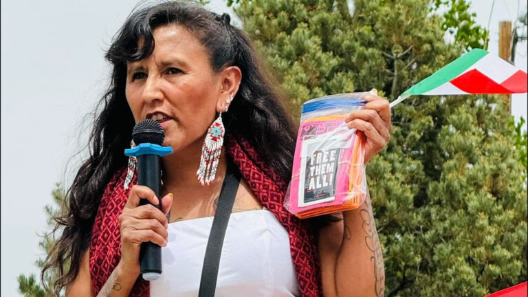 Audiencia de Fianza para Jeanette Vizguerra: Activista de Inmigración Espera Decisión