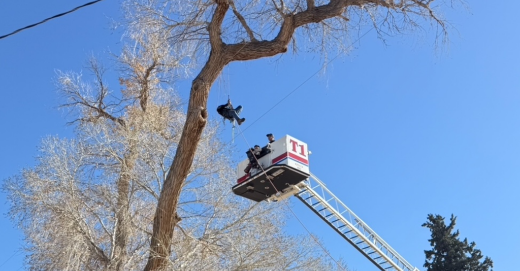 Rescate de árbol: Bomberos de Las Cruces salvan a trabajador atrapado en Doña Ana