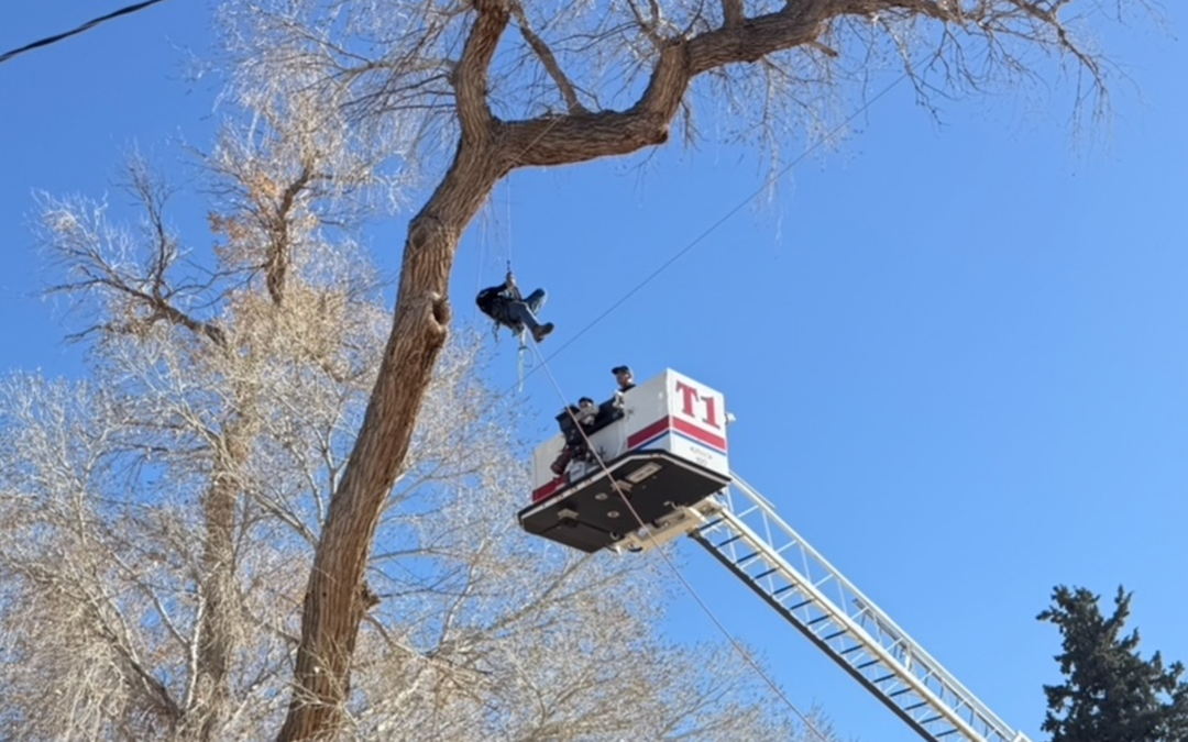 Rescate de árbol: Bomberos de Las Cruces salvan a trabajador atrapado en Doña Ana