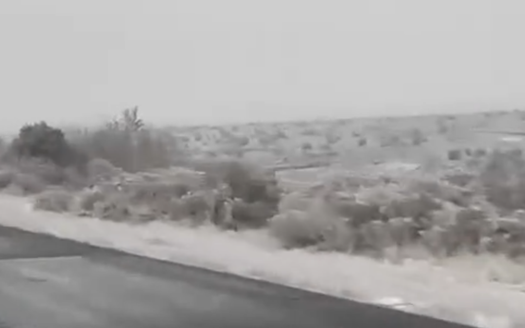 Retrasos y Cierres en Escuelas de Nuevo México por Tormenta Invernal