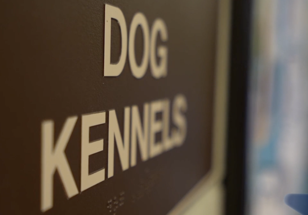 Palm Desert Lanza Programa de Vales para Esterilización de Mascotas y Prohíbe Crianza Ilegal