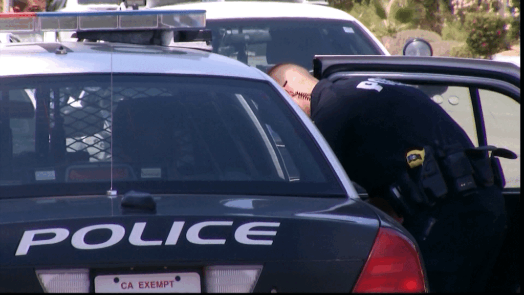 Arrestos en Thermal CA: Dos Personas Detenidas por el Robo de un Caballo Valioso