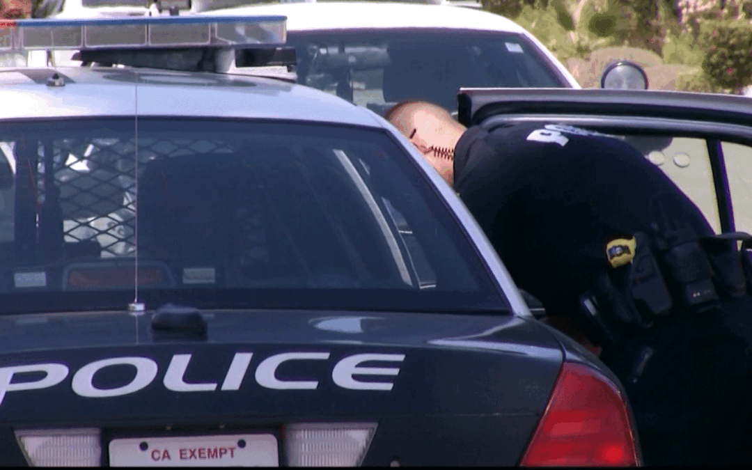 Arrestos en Thermal CA: Dos Personas Detenidas por el Robo de un Caballo Valioso