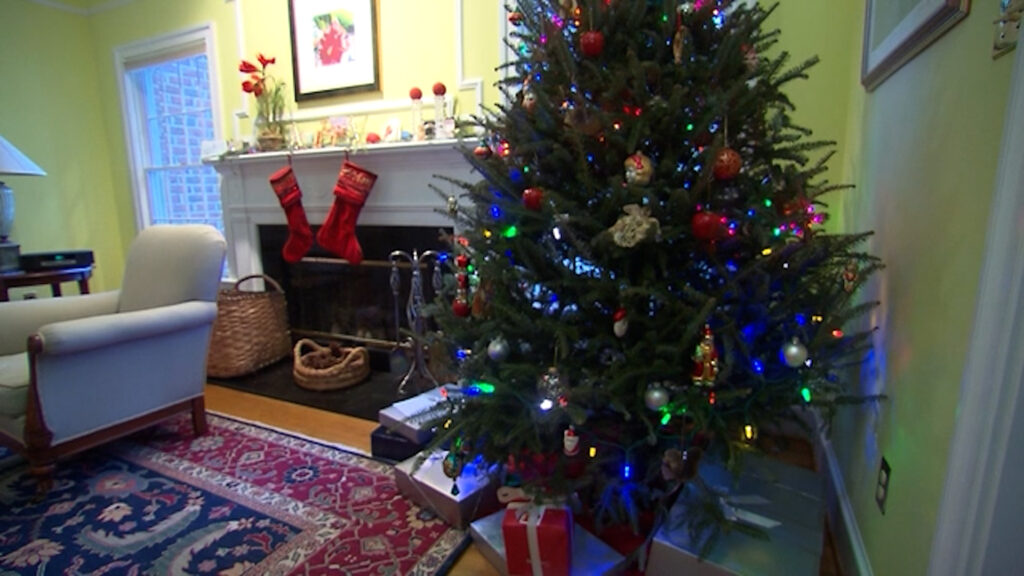 Seguridad en el Hogar: Recomendaciones Esenciales para Proteger a Tu Familia