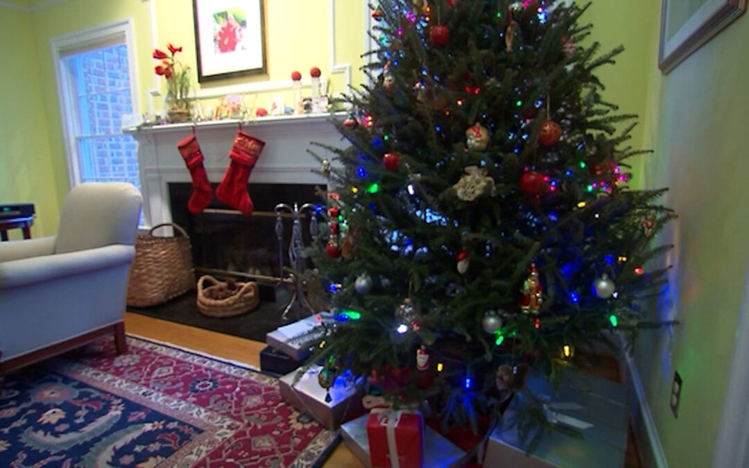 Seguridad en el Hogar: Recomendaciones Esenciales para Proteger a Tu Familia