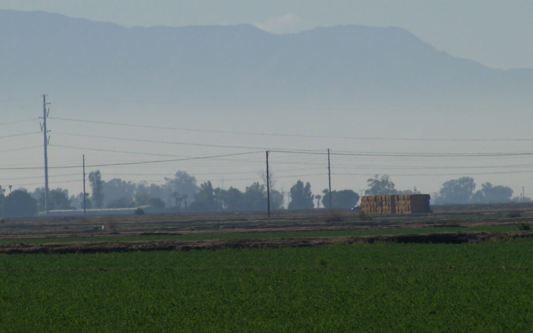 Aumenta la Contaminación: Recomiendan Evitar Fogatas en Fiestas de Fin de Año