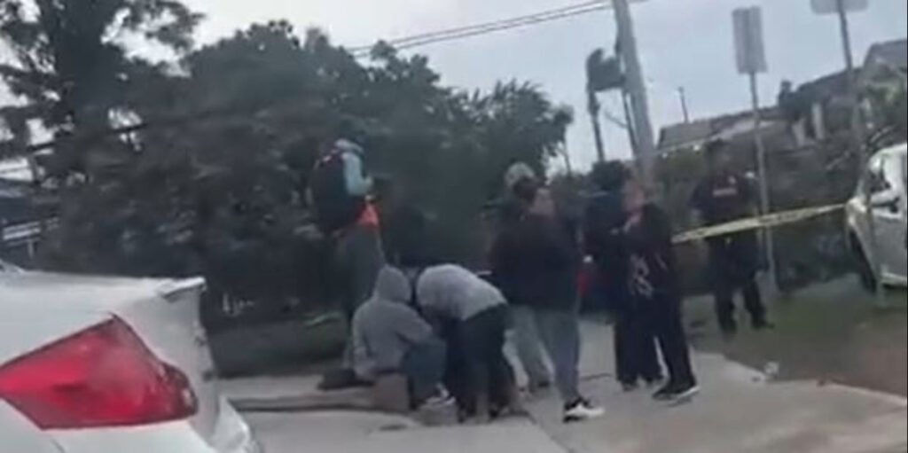 Muerte por caída de árbol en City Heights: Un trágico incidente en San Diego