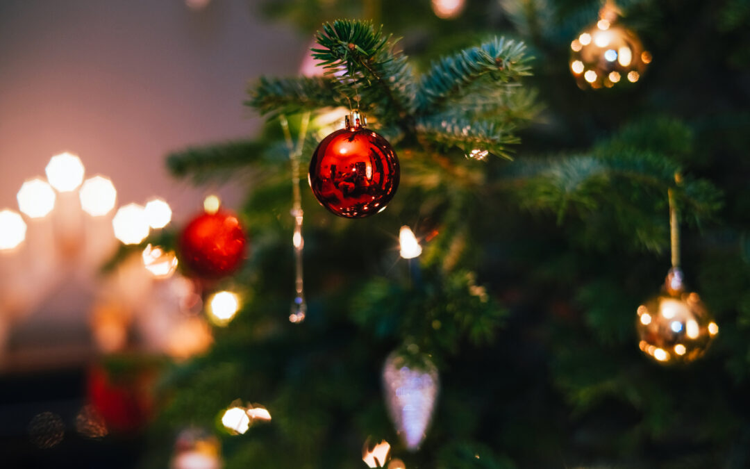 Reciclaje de Árboles de Navidad en Denver: ¡Participa en el Programa TreeCycle!