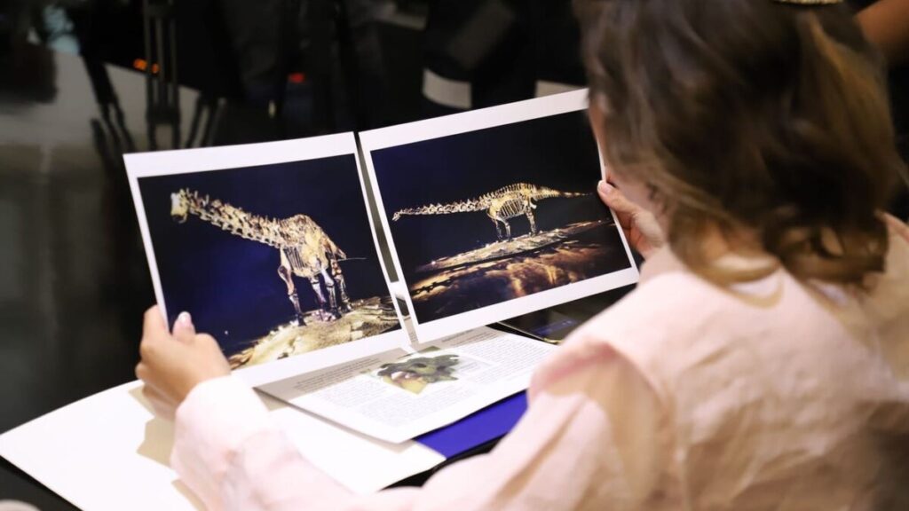 El Fósil ‘Einstein’: Confirmación de su Préstamo en San Pedro Garza García