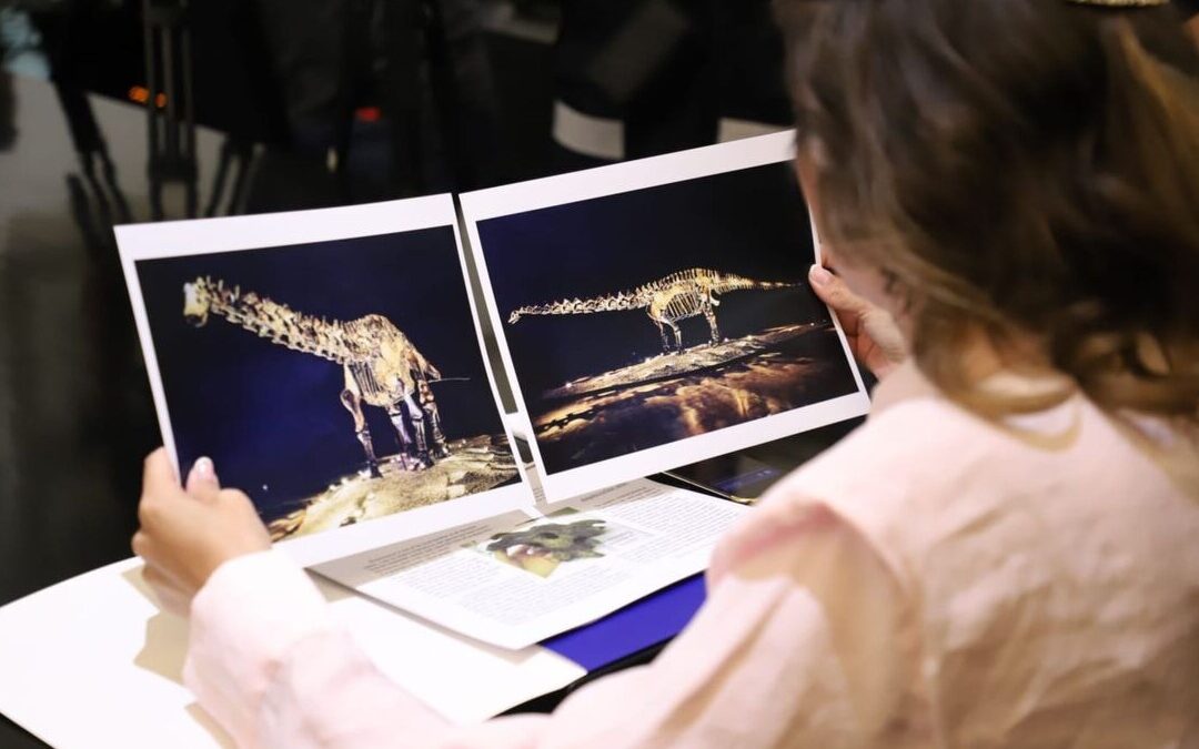 El Fósil ‘Einstein’: Confirmación de su Préstamo en San Pedro Garza García