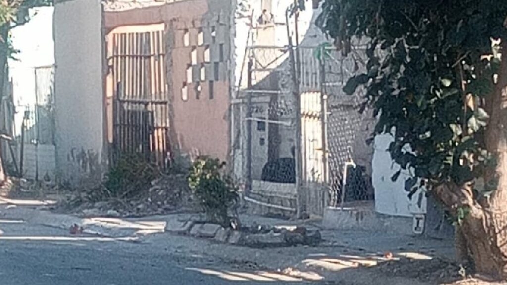 Perros Agresivos y Abandono de Espacios en Quintas los Nogales: Un Llamado a la Seguridad Pública en Torreón