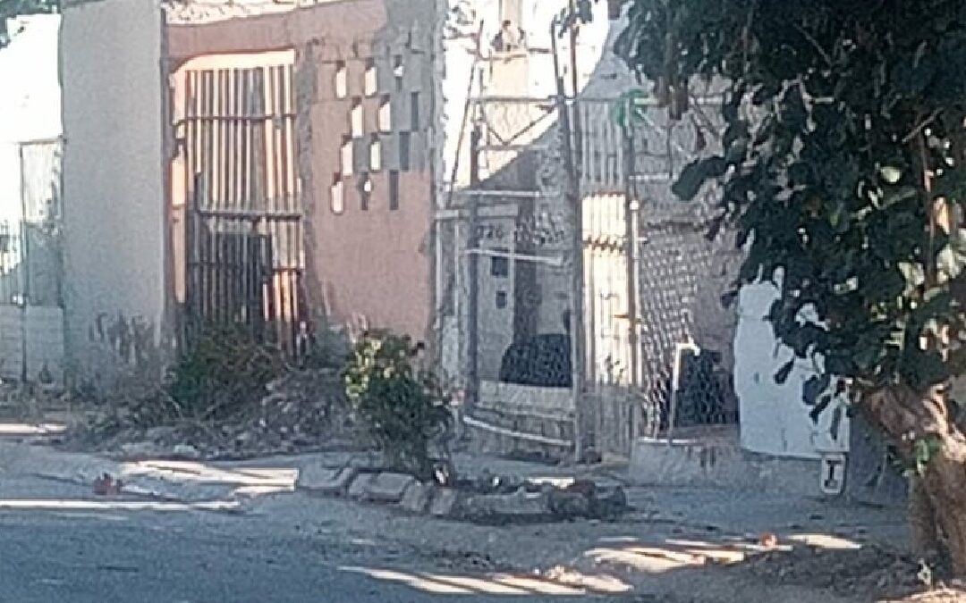 Perros Agresivos y Abandono de Espacios en Quintas los Nogales: Un Llamado a la Seguridad Pública en Torreón
