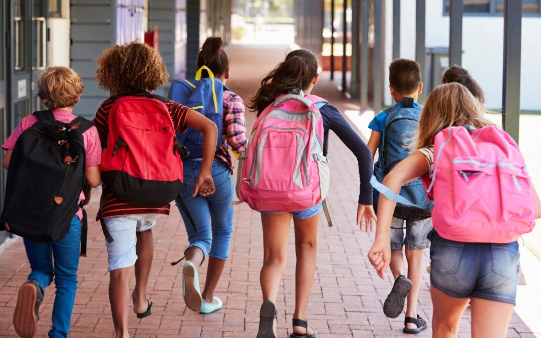 Descubre el Primer Puente Escolar de 2026 en Guanajuato: Lo que la SEP Revela