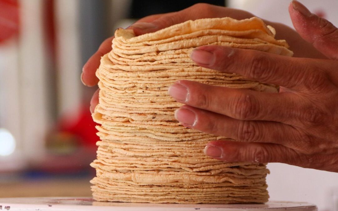 Precio de la Tortilla y Gasolina en Puebla: Tendencias 2026