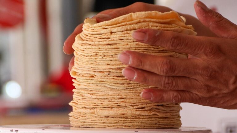 Precio de la Tortilla y Gasolina en Puebla: Tendencias 2026