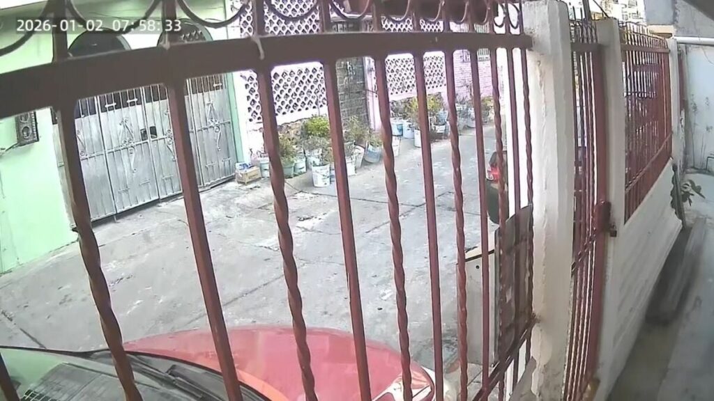 Reacciones en Redes Sociales Tras el Sismo en Guerrero y Ciudad de México | VIDEO