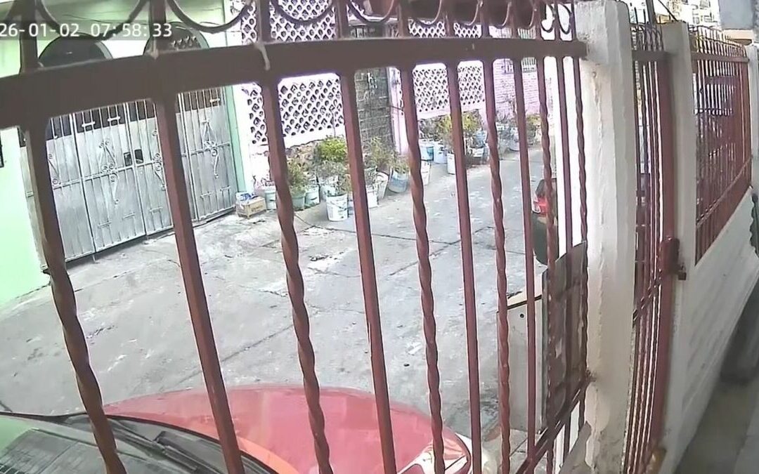 Reacciones en Redes Sociales Tras el Sismo en Guerrero y Ciudad de México | VIDEO