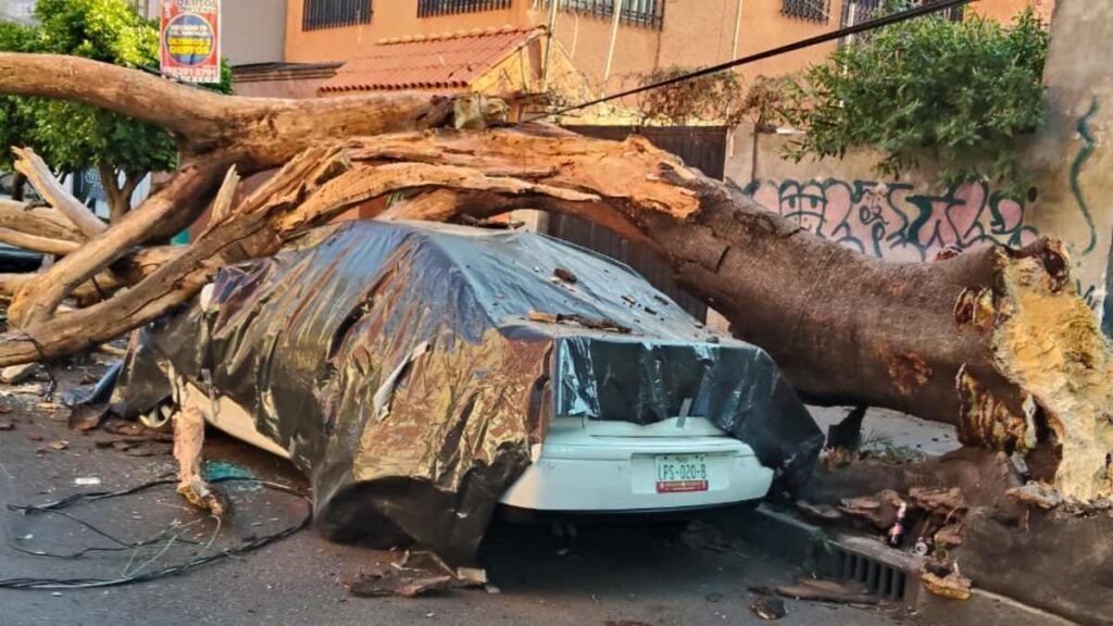 Sismo en San Marcos, Guerrero: Más de 30 inmuebles afectados en CdMx, 2 en peligro de colapso