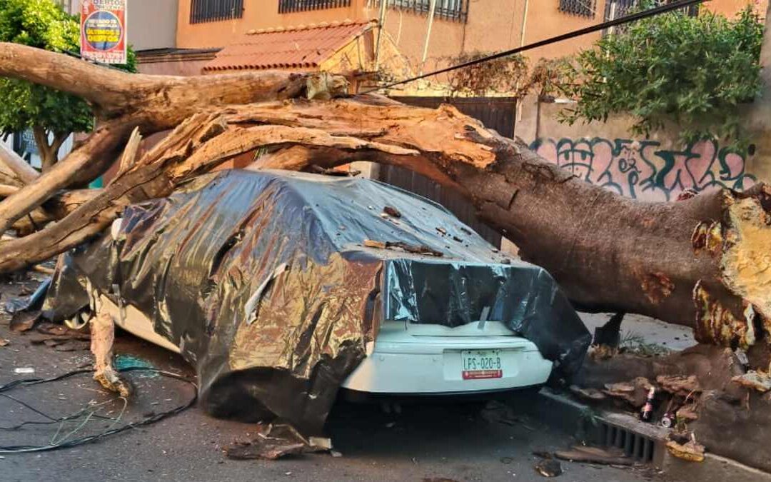 Sismo en San Marcos, Guerrero: Más de 30 inmuebles afectados en CdMx, 2 en peligro de colapso