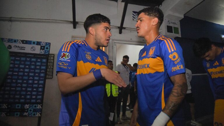 Tigres Despide a Dos Jugadores: Planean Refuerzos para el Clausura 2026