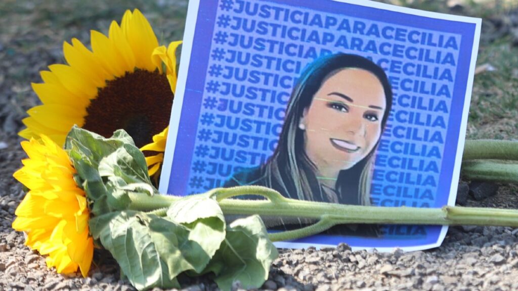 Ley Mozón: Castigos y Estados donde ha sido Aprobada