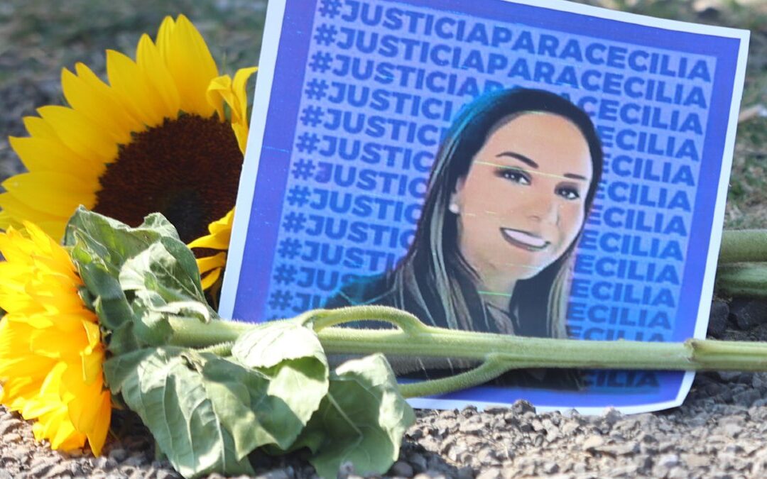 Ley Mozón: Castigos y Estados donde ha sido Aprobada