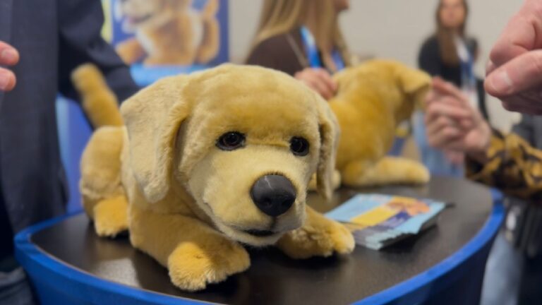 Descubre a Tombot Jennie: El Perrito Robótico que Revoluciona la Asistencia Emocional en Stockton Modesto