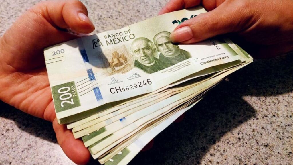 Ingreso Promedio Lagunero: ¿Es Suficiente para el Costo de Vida?