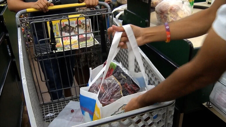 Nueva Ley en California: Prohibición de Bolsas de Plástico en Supermercados