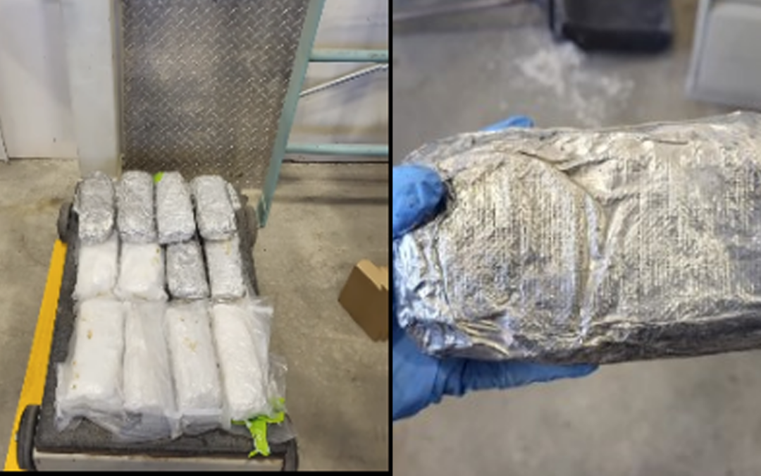 Incautación de Metanfetamina en el Puerto de Entrada de Santa Teresa: 24.6 Libras Atrapadas