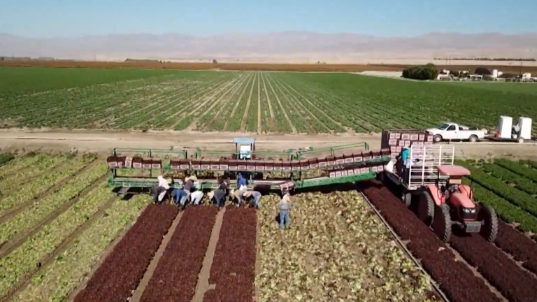 Trabajadores agrícolas recibirán aumento salarial en California a partir de enero
